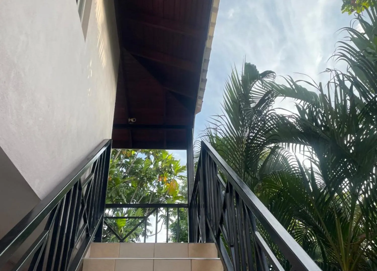 Richmond Retreat Apartment Half Way Tree 0*,  Jamaica